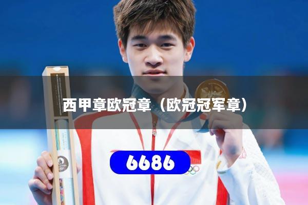 西甲章欧冠章（欧冠冠军章）